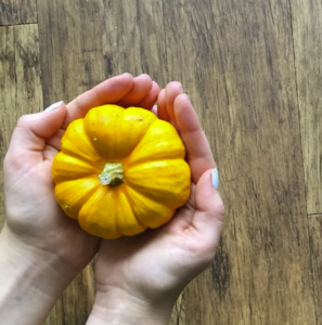 Mini pumpkin held in cupped hands
